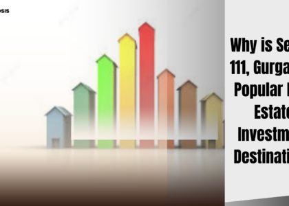 Why is Sector 111, Gurgaon a Popular Real Estate Investment Destination?