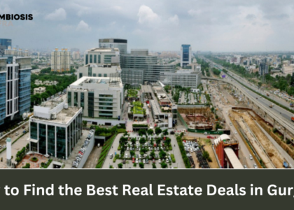 How to Find the Best Real Estate Deals in Gurgaon